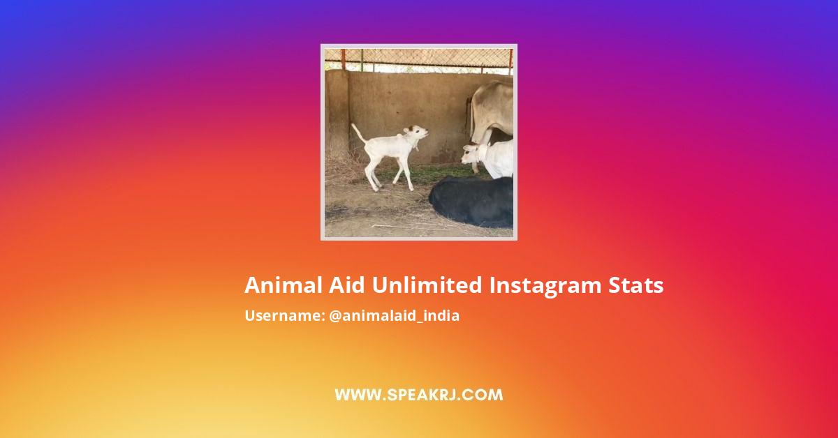 Animal Aid Unlimited Instagram Followers Statistics / Analytics - SPEAKRJ  Stats