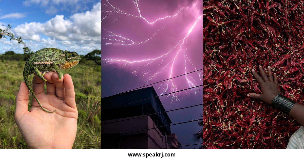 apple Instagram Followers Statistics / Analytics SPEAKRJ Stats