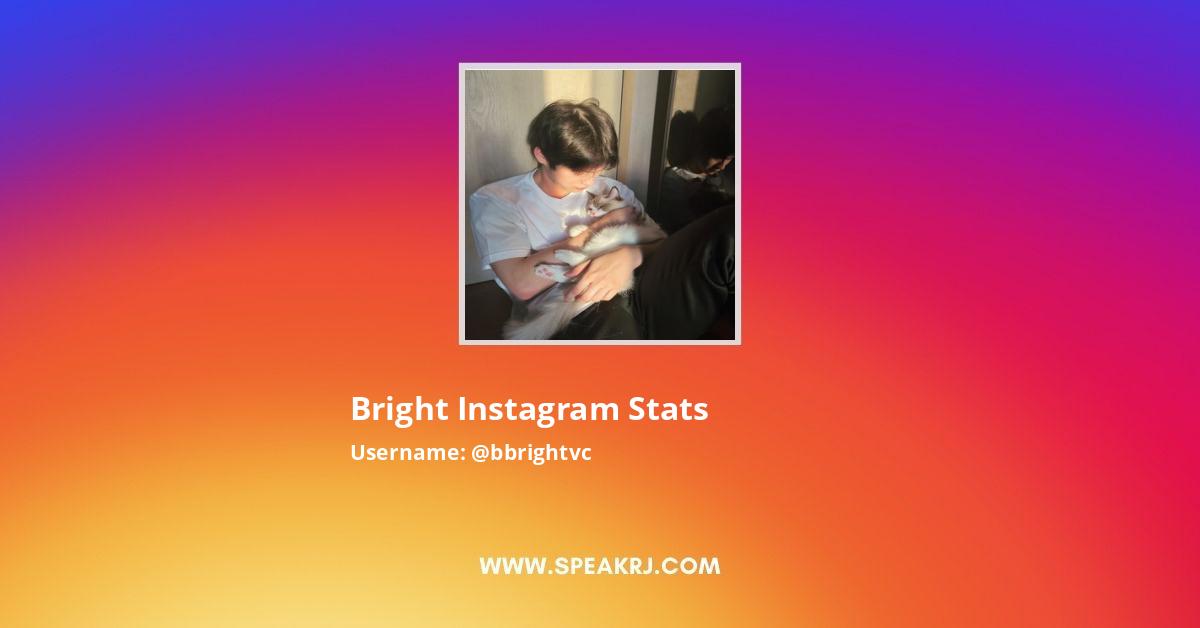 Bright Instagram Followers Statistics Analytics Speakrj Stats