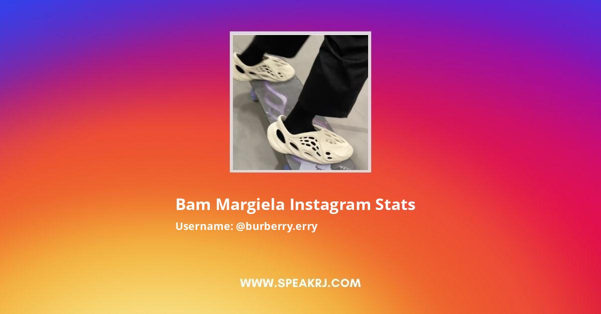  Instagram Followers Statistics / Analytics - SPEAKRJ Stats