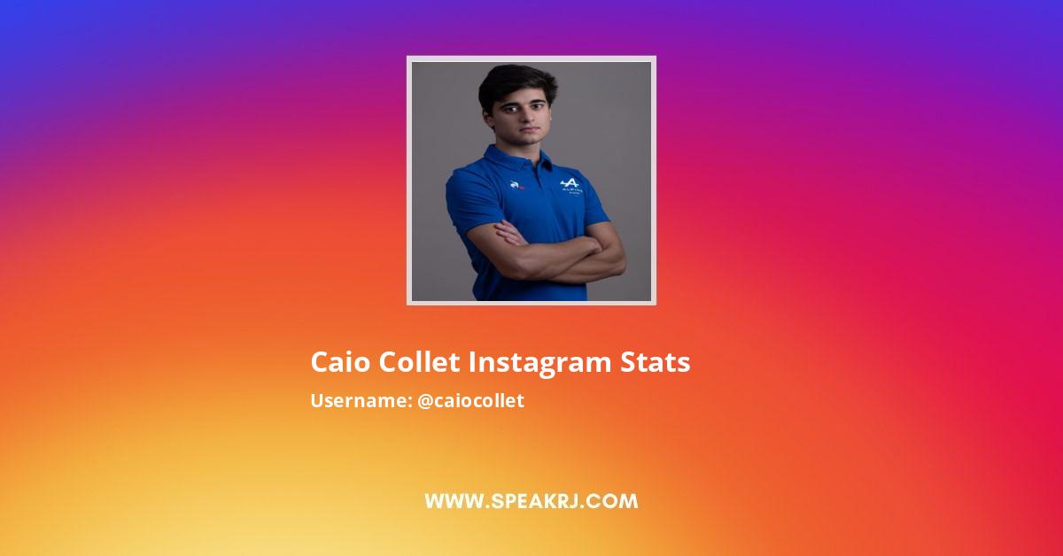 Caio Collet Instagram Followers Statistics Analytics Speakrj Stats