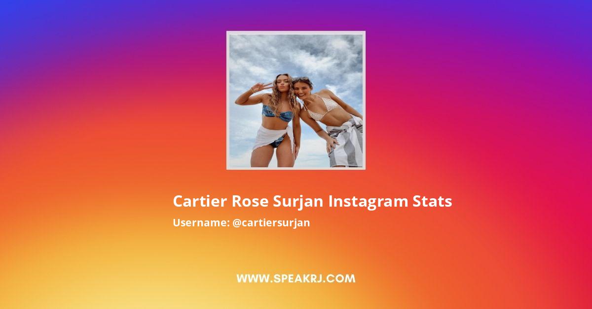 Cartier Rose Surjan Instagram Followers Statistics Analytics