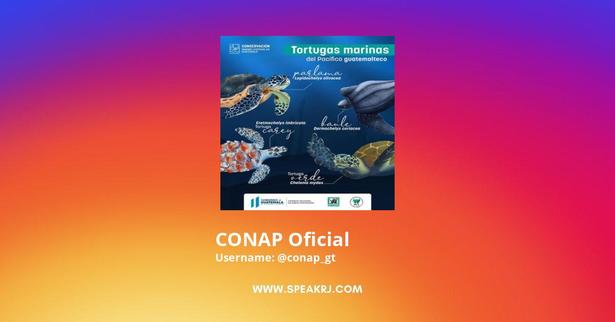 CONAP Oficial Instagram Pictures
