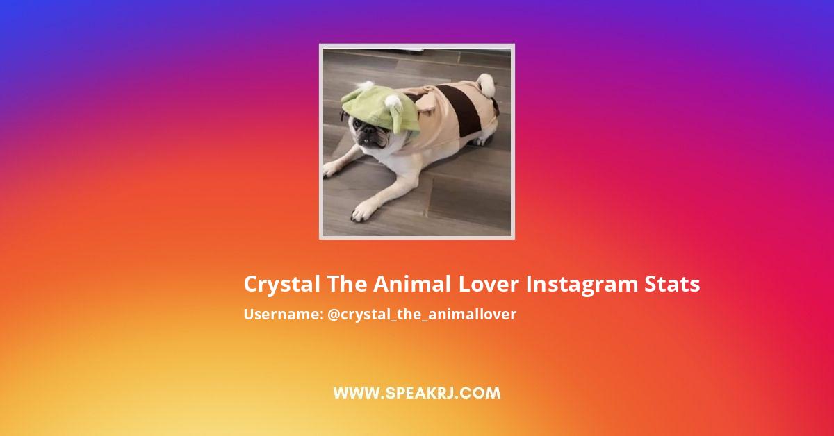 Crystal The Animal Lover Instagram Followers Statistics / Analytics -  SPEAKRJ Stats