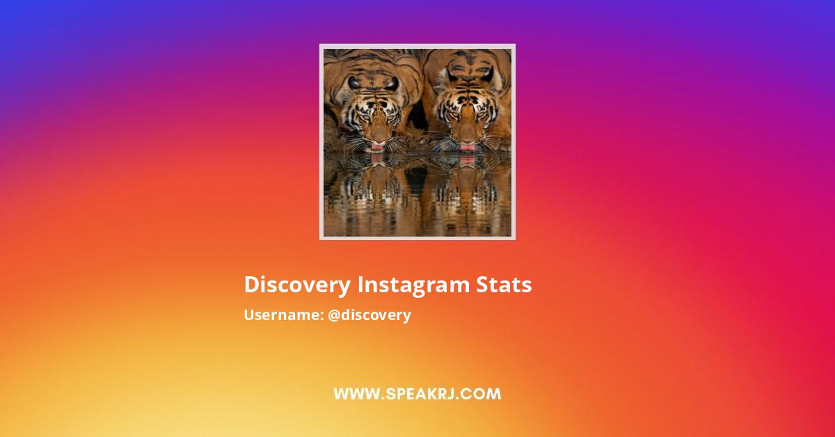 Discovery Instagram Stats