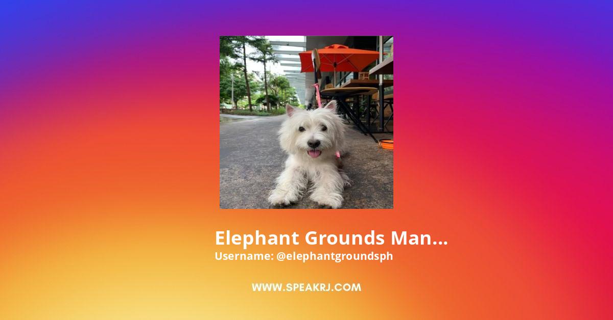 Elephant Grounds Manila Instagram Pictures