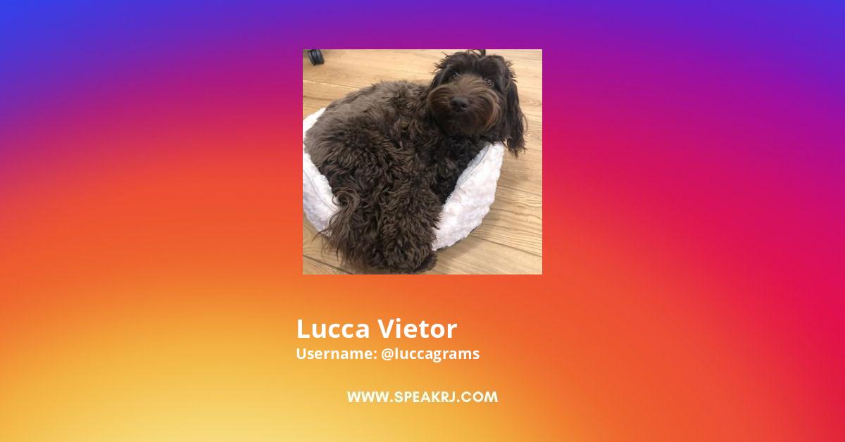 Lucca Vietor Instagram Pictures