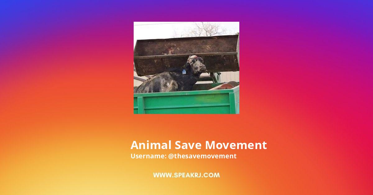Animal Save Movement Instagram Followers Statistics / Analytics - SPEAKRJ  Stats