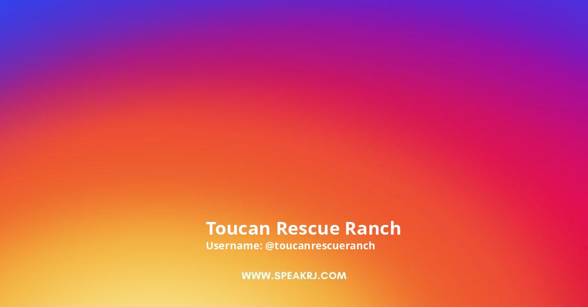 Toucan Rescue Ranch Instagram Pictures