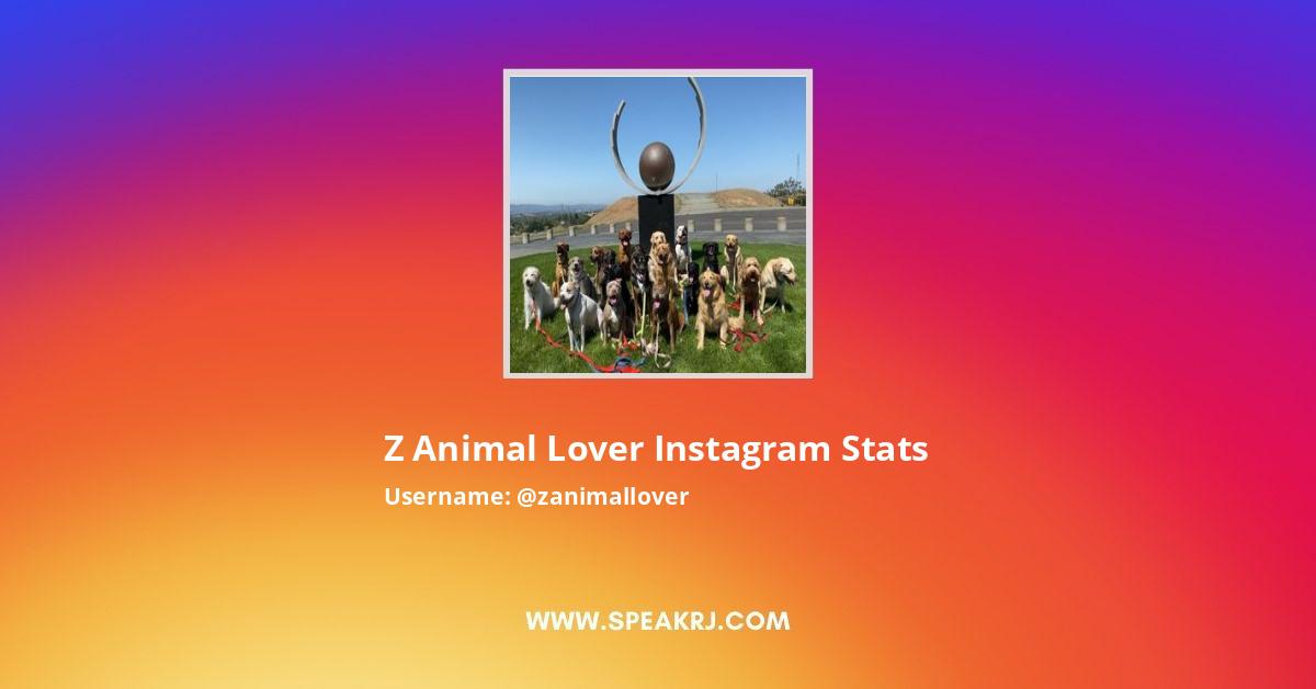 Z Animal Lover Instagram Followers Statistics / Analytics - SPEAKRJ Stats