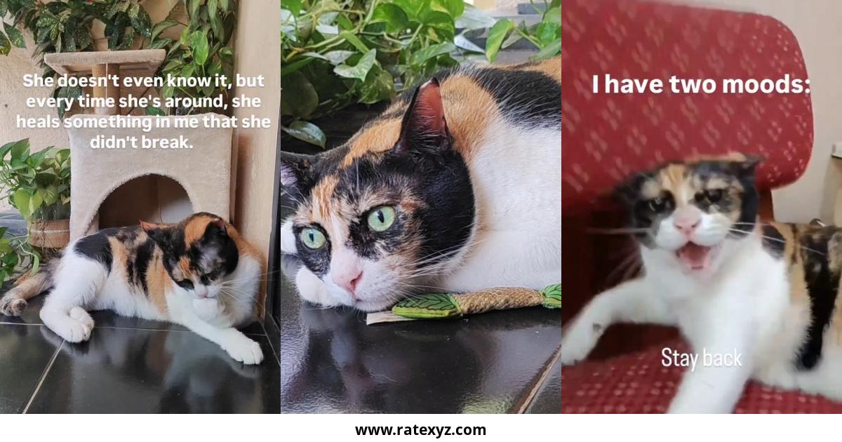 Meenucat influencer India Instagram Pictures