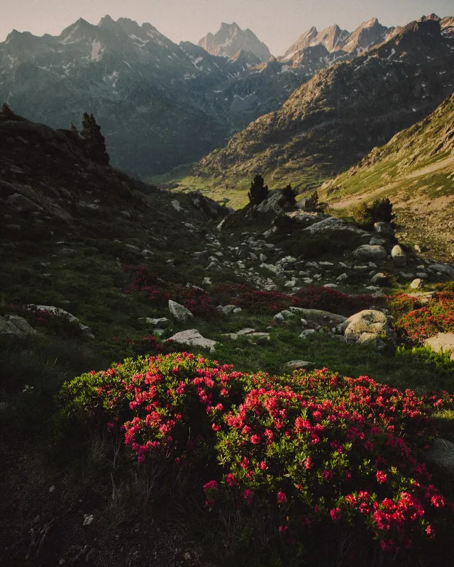 Post by Alex Strohl