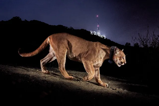 Post by National Geographic