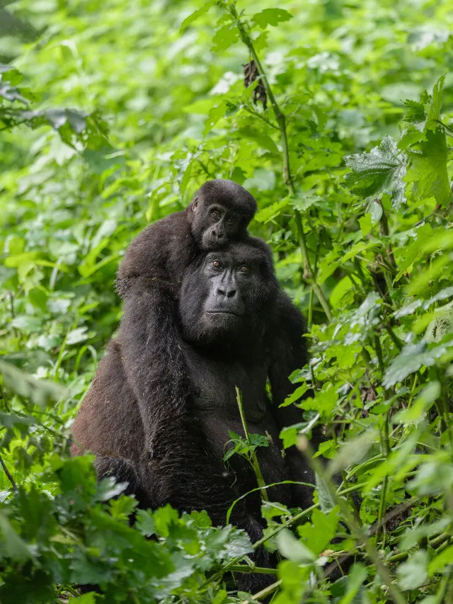 Post by National Geographic