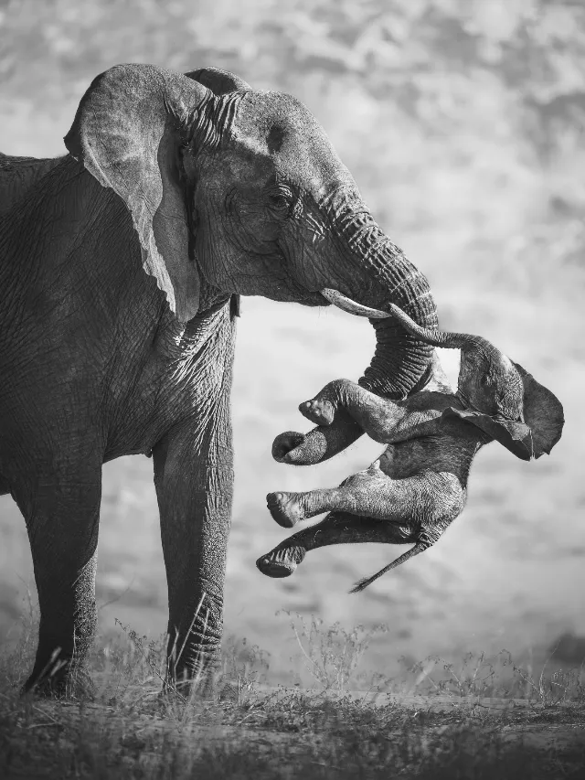 Post by National Geographic