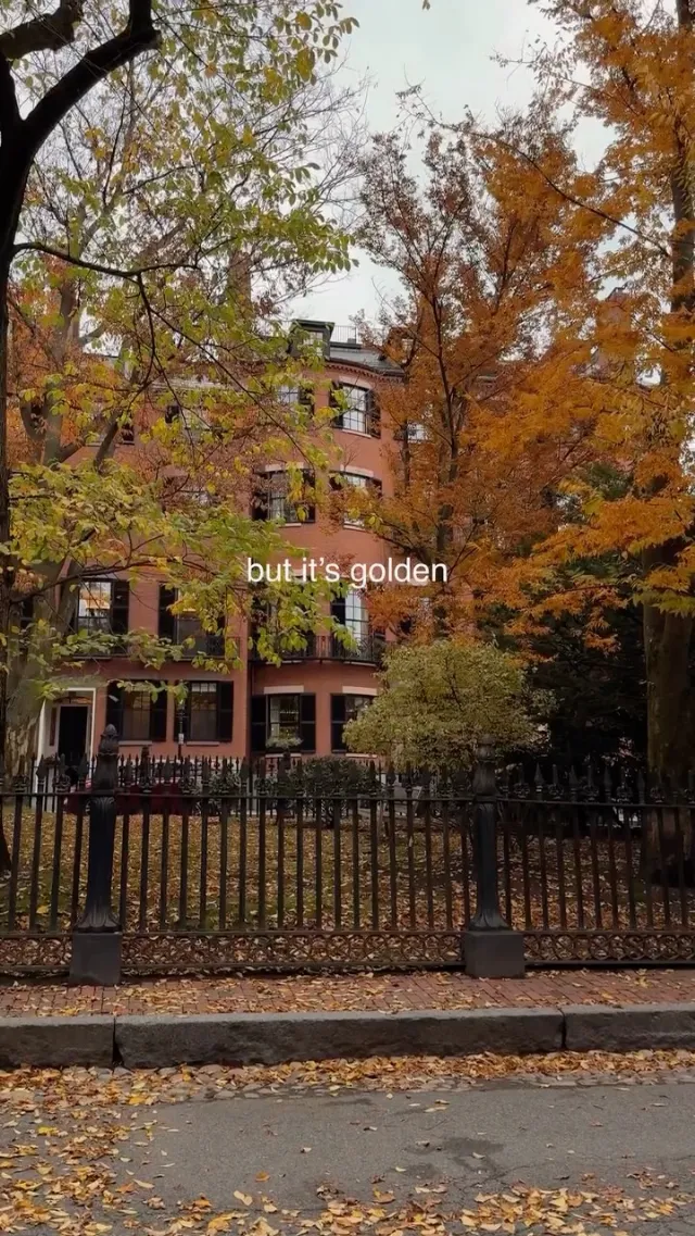 Post by Kate Bergman | Bucket List Boston