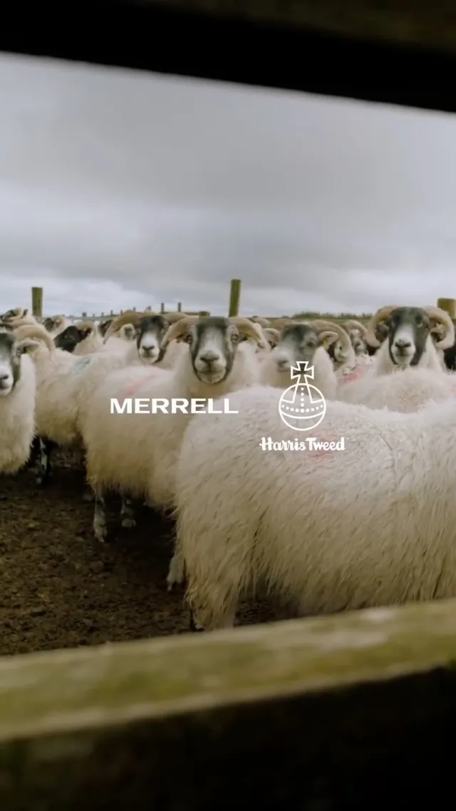 Post by Merrell