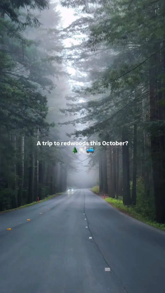 Post by Meghana | SF Bay Area | California | Travel & Lifestyle