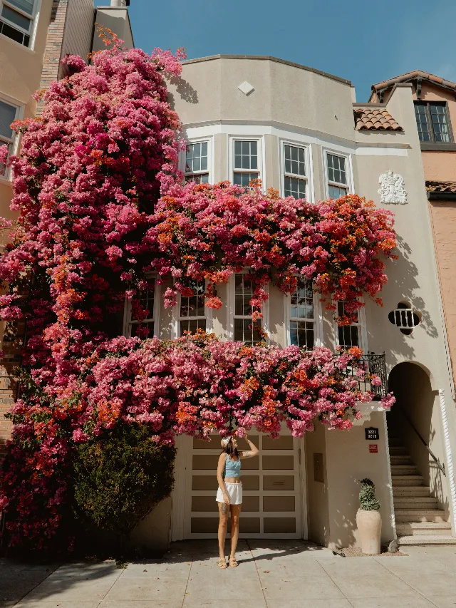 Post by Sarah | SF + California Travel Photographer