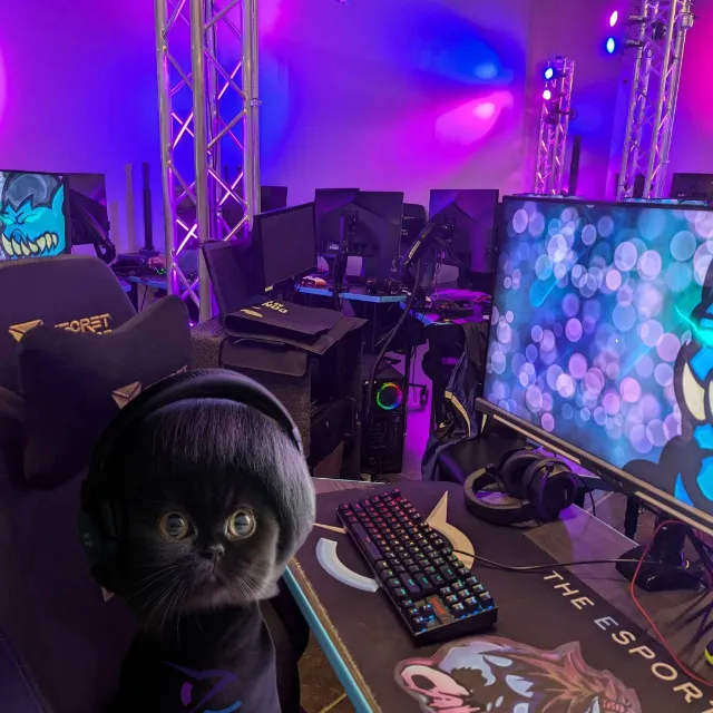Post by The Esports Cave