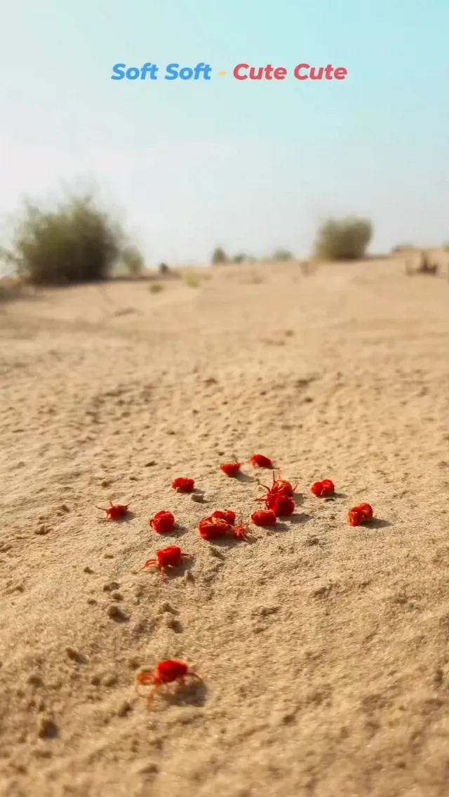 Post by Jaipur Visit | Jaipur Blogger