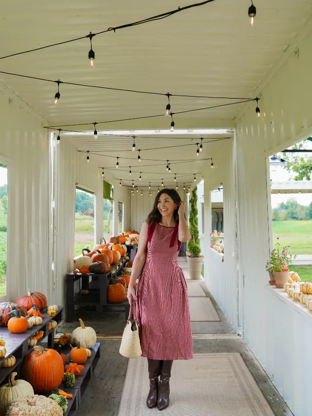 Post by Emily Nicole | DC Lifestyle