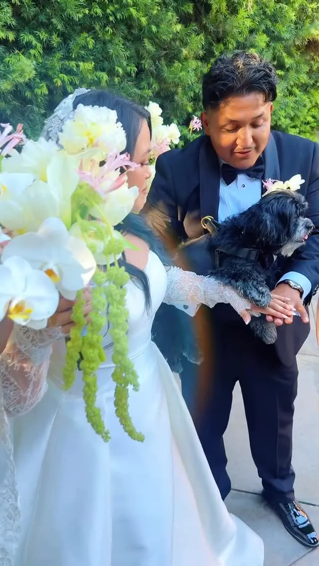 Post by Hart 2 Paw | Southern California Wedding Pet Care