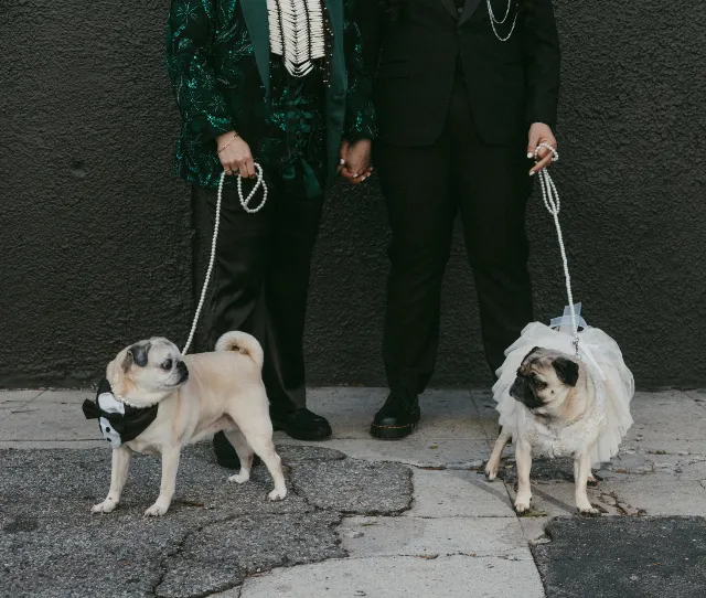 Post by Hart 2 Paw | Southern California Wedding Pet Care