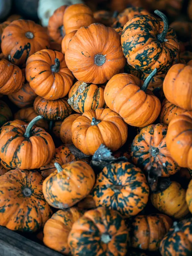 Post by BEST QUESTS | Montreal Content Creator, Foodie & Photographer
