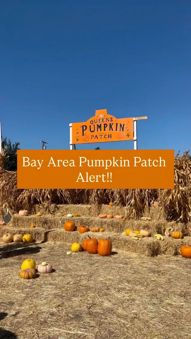 Post by Bay Area Influencer & Creator