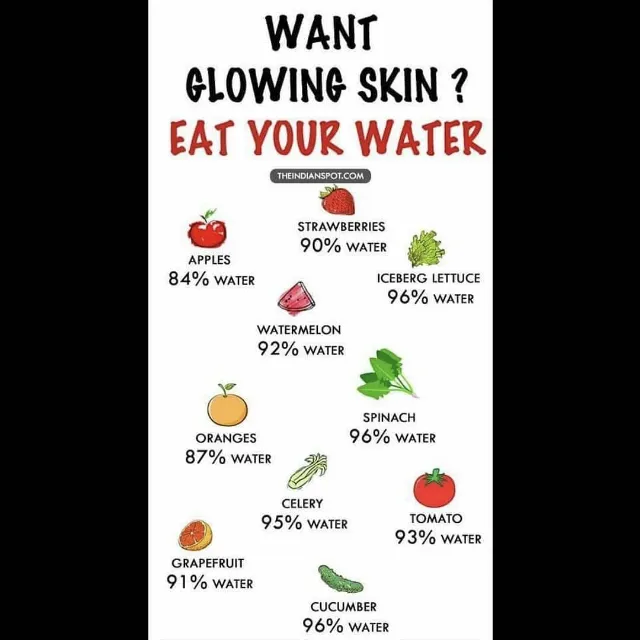 Post by FIT MEALS AHMEDABAD