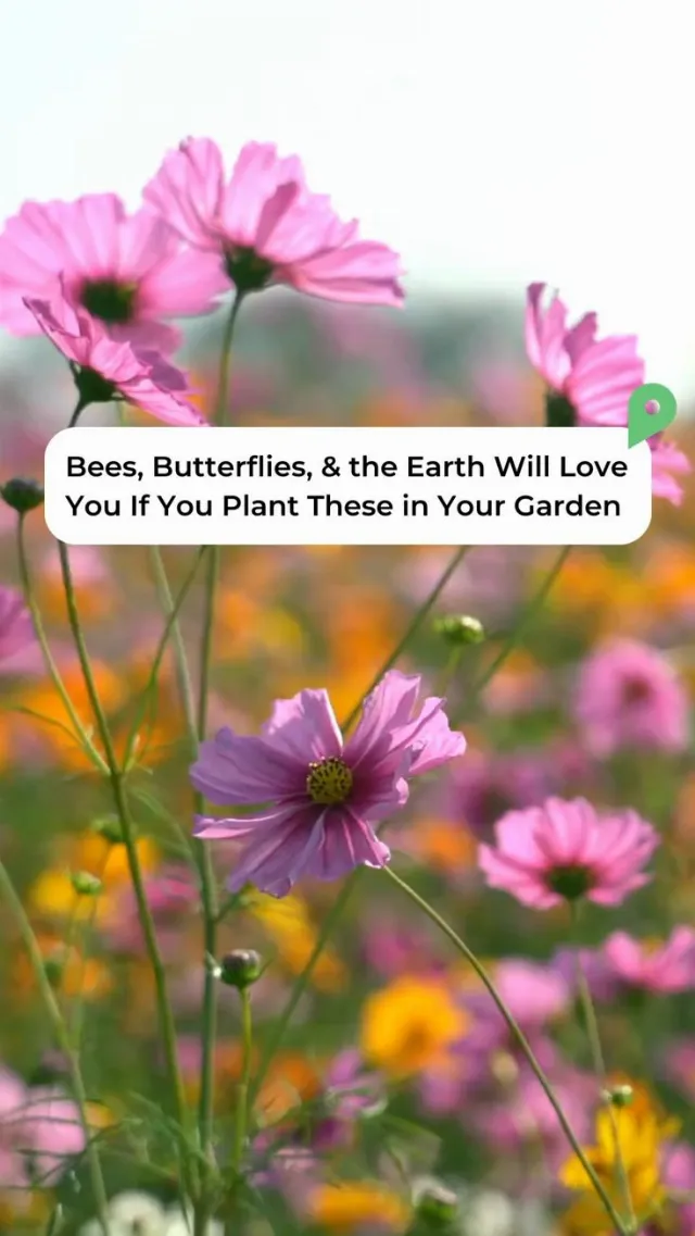 Post by Outdoors.com