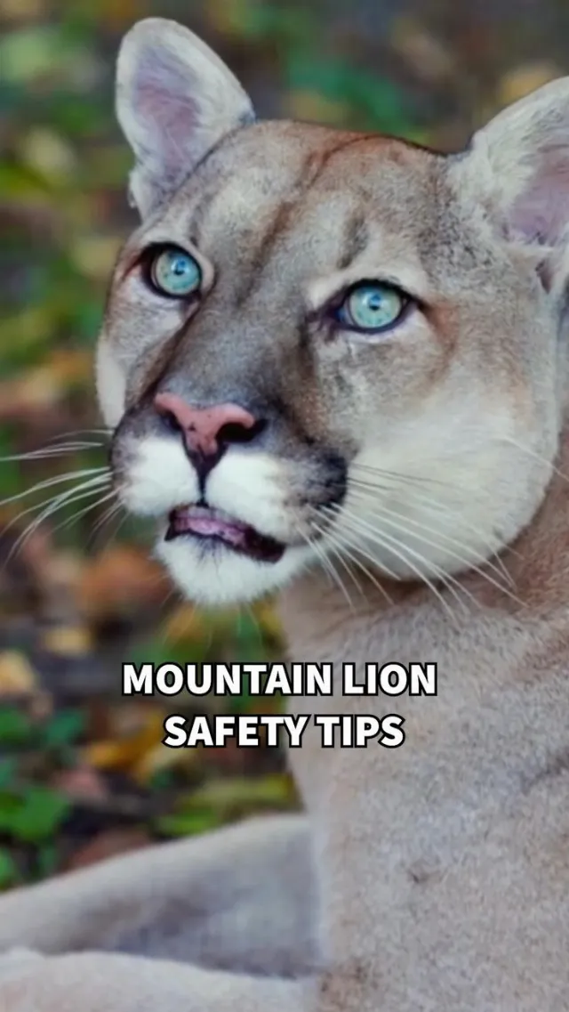 Post by Outdoors.com