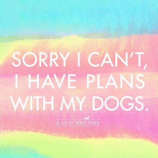 Post by Alex Michael May | Plus Size Style + Self Love