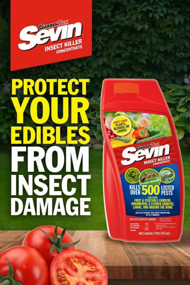 Post by AGreenHand | Tips Dedicated For Gardeners and Homeowners