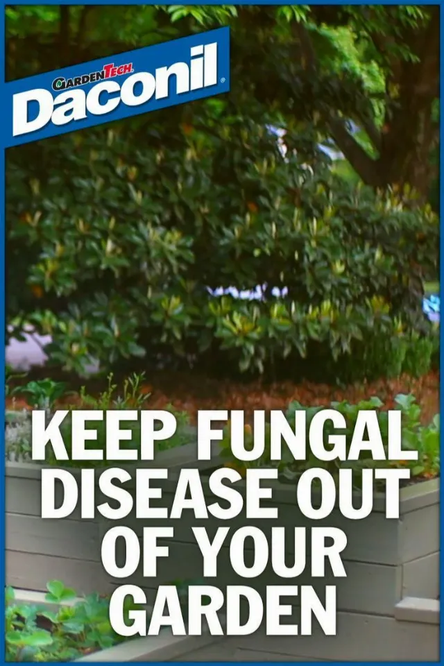 Post by AGreenHand | Tips Dedicated For Gardeners and Homeowners