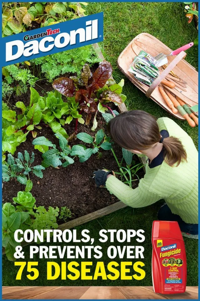 Post by AGreenHand | Tips Dedicated For Gardeners and Homeowners