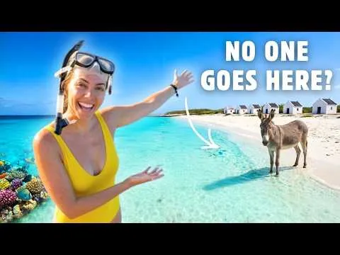 Post by Tourist to Local