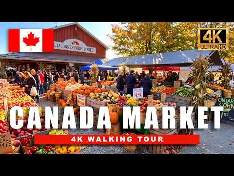 Post by World Wanderings: 4K Walking Tours