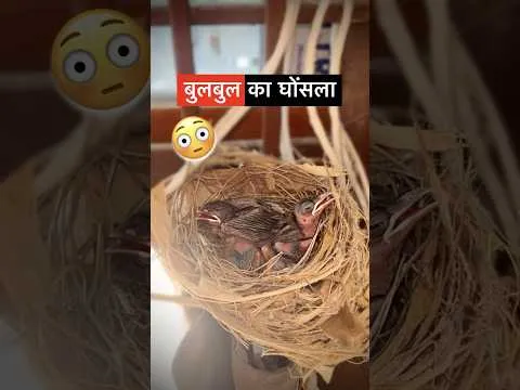 Post by Monu Mine 