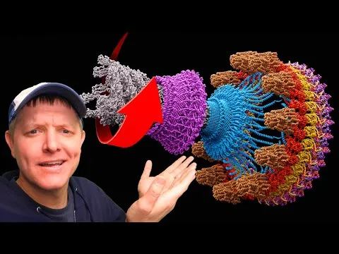 Post by SmarterEveryDay