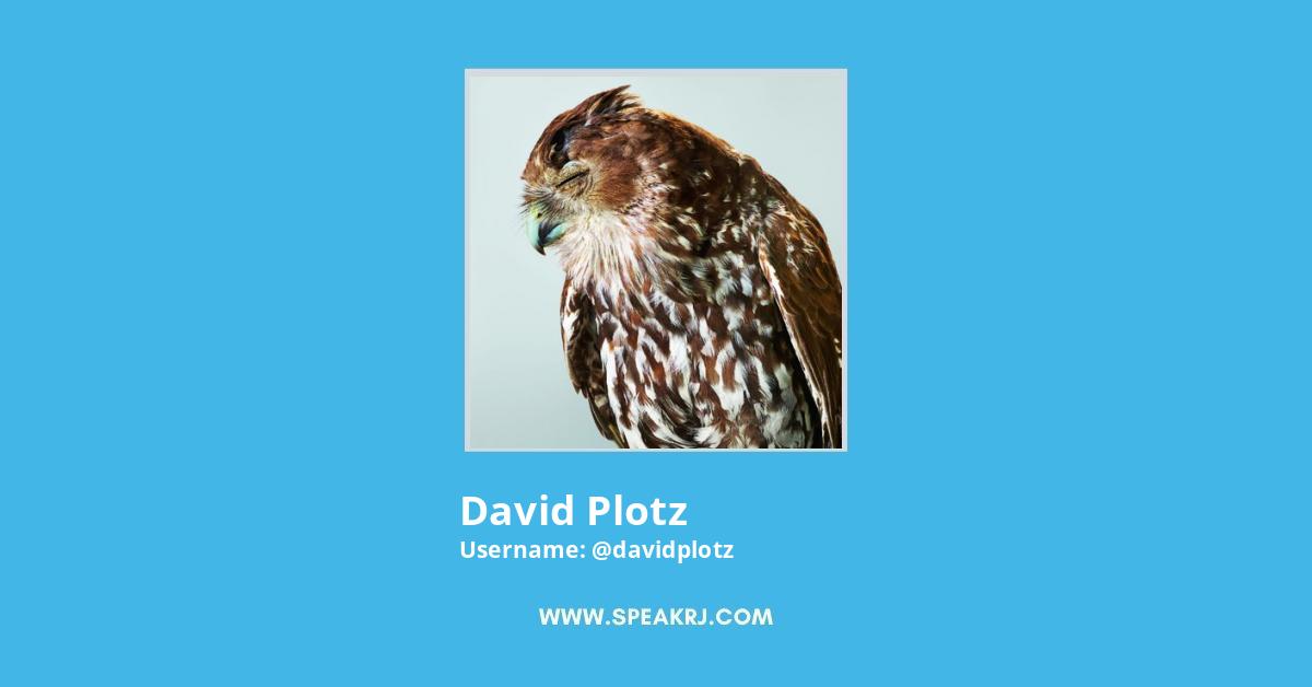 David Plotz Twitter Stats