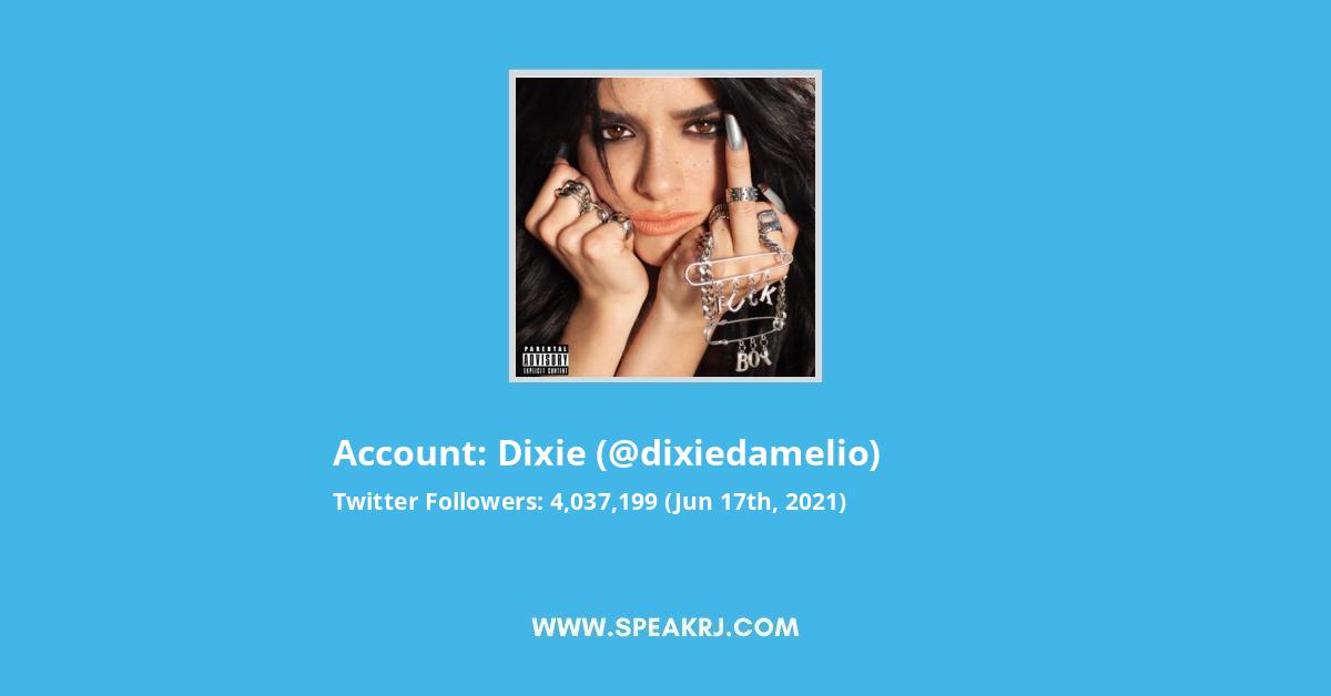 dixie Twitter Stats