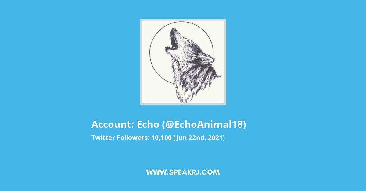 echo Twitter Stats