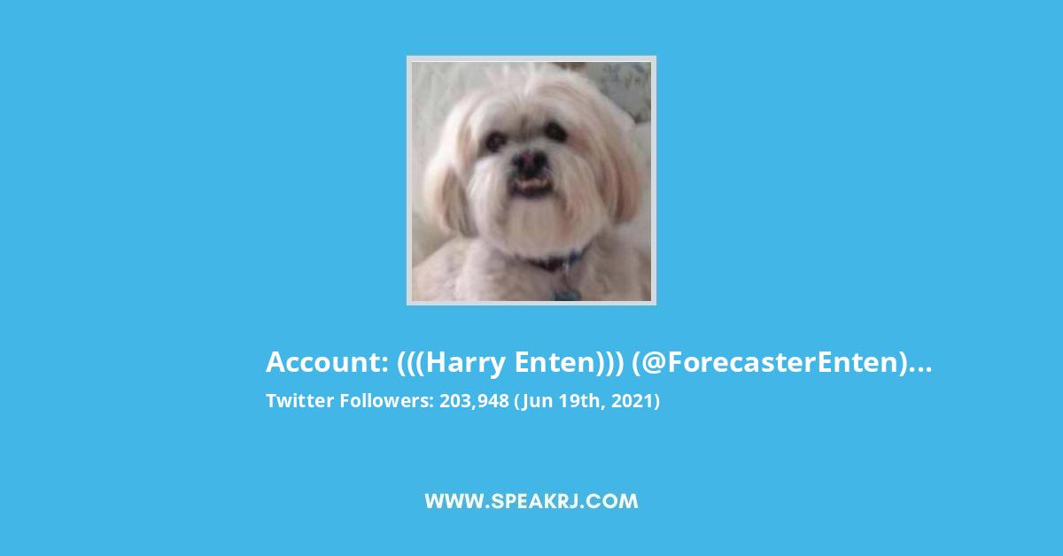 (((Harry Enten))) Twitter Stats