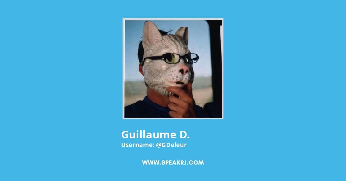 Guillaume D. Twitter Stats