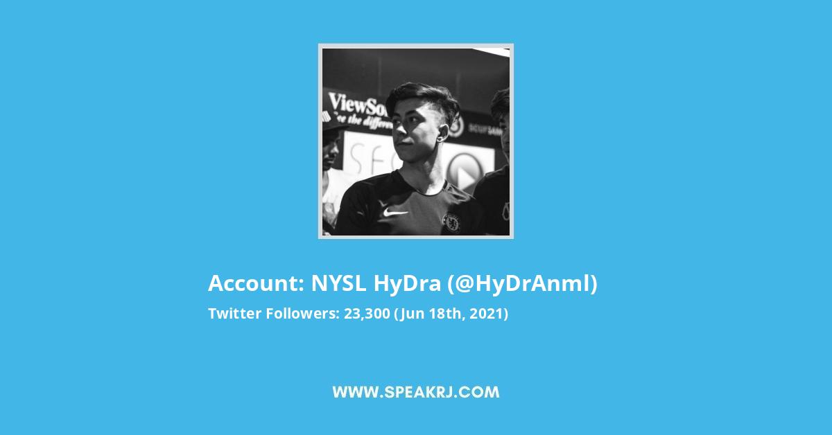 NYSL HyDra Twitter Stats