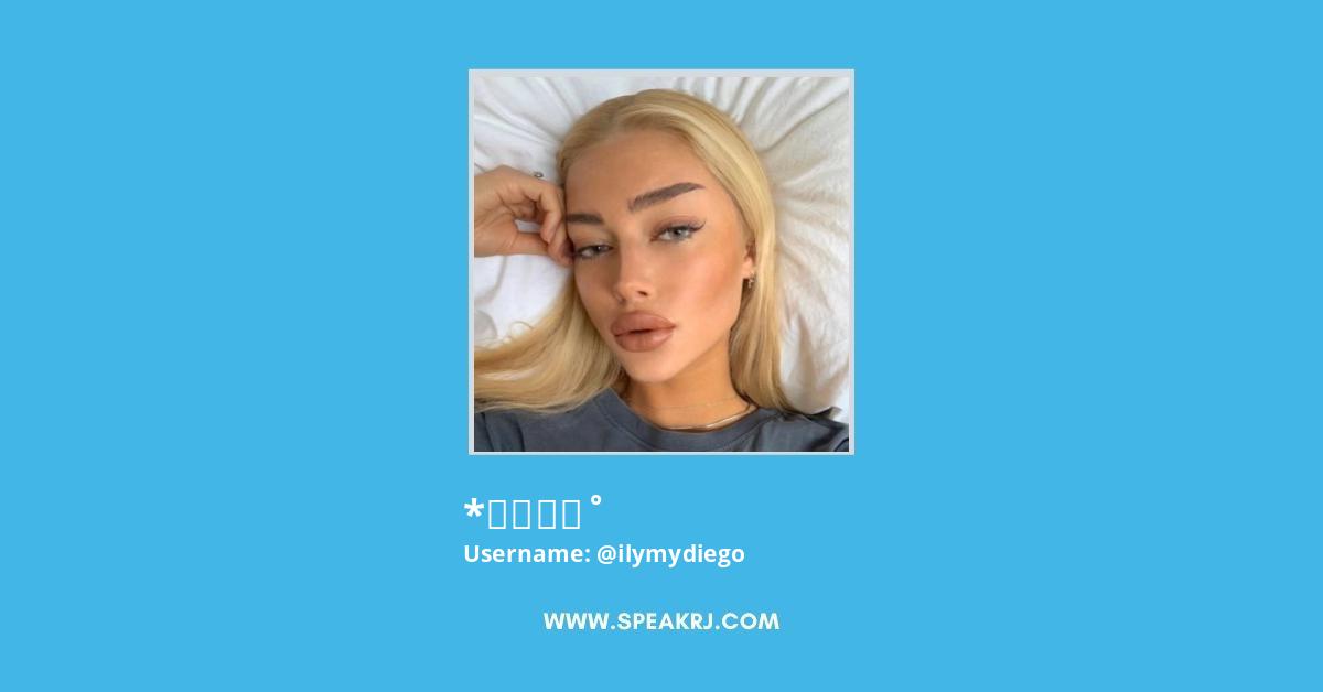 *ੈ✩‧₊˚ Twitter Stats