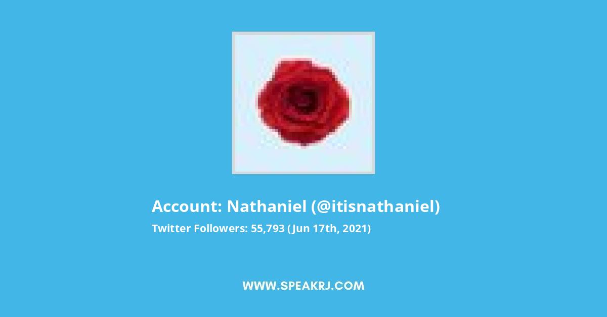 Nathaniel Twitter Stats