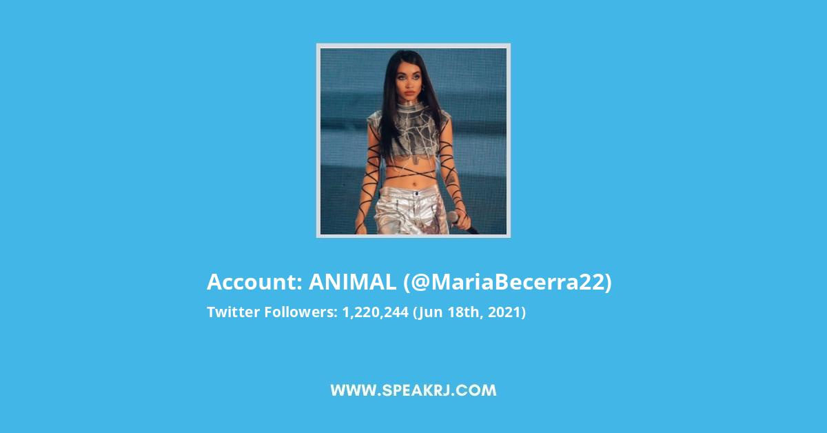 ANIMAL Twitter Stats